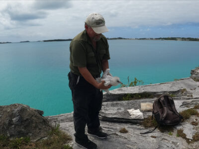 A man holding a bird stands on a rocky shore in front of blue sea.