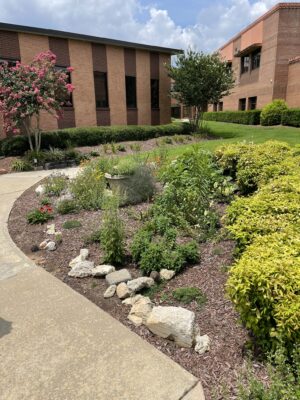 A garden in front of a brick building