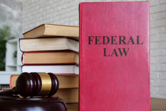 Federal Law Books With Mallet